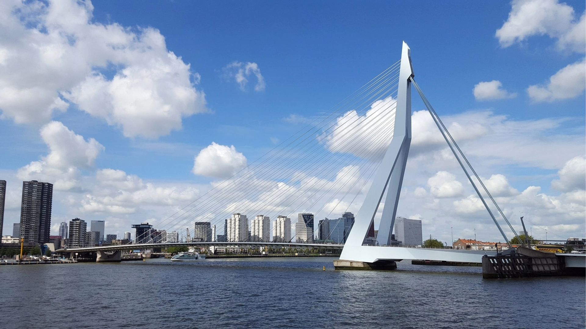 De Erasmusbrug in Rotterdam